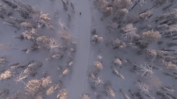 Aerial view of a skier in the snowy Luosto forest Finland.