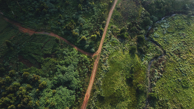 Aerial view of a dirt road intersection winding through lush green vegetation and a small stream Garden Route District Municipality Western Cape South Africa.