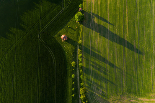 Aerial view of a historic windmill standing in vibrant green agricultural fields with long shadows cast by trees at sunset in Chvalkovice Hradec Kralove Region Czechia.