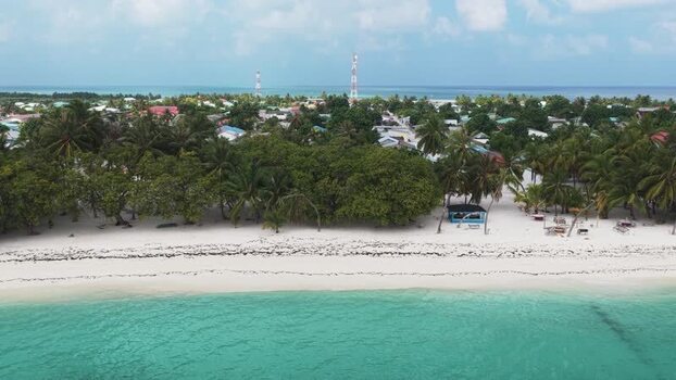 Aerial view of the tropical beach and palm trees Maldives.