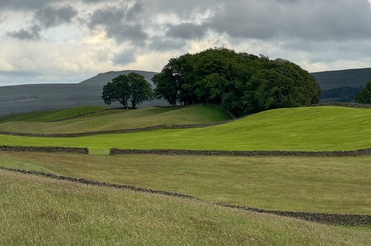 Yorkshire UK View of rolling green hills partitioned by traditional dry stone walls under a cloudy sky. Yorkshire UK View of rolling green hills partitioned by traditional dry stone walls under a cloudy sky.