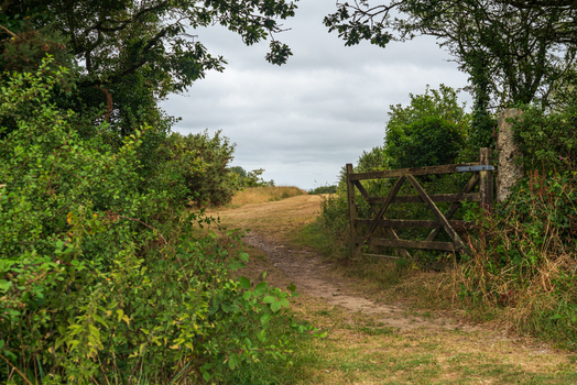 View of a dirt path leading through a wooden gate into a grassy field framed by lush green bushes and trees under a cloudy sky in Bodmin Cornwall United Kingdom. View of a dirt path leading through a wooden gate into a grassy field framed by lush green bushes and trees under a cloudy sky in Bodmin Cornwall United Kingdom.