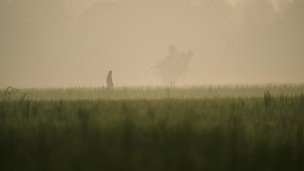 View of a man walking through a foggy field in Bogura Bangladesh. View of a man walking through a foggy field in Bogura Bangladesh.