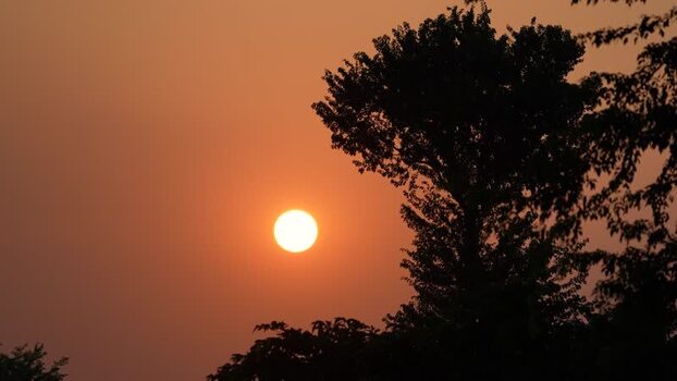 View of the sun setting behind silhouetted trees Bangladesh.