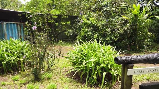 Aerial view of the HMAS Bounty Cannon a dark sentinel amidst the verdant foliage contrasting against the bright sign Pitcairn Island Pitcairn Islands.