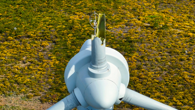 Aerial view of a damaged wind turbine blade with a broken tip set against a vibrant landscape of yellow flowering shrubs in Lisbon Lisbon Portugal. Aerial view of a damaged wind turbine blade with a broken tip set against a vibrant landscape of yellow flowering shrubs in Lisbon Lisbon Portugal.