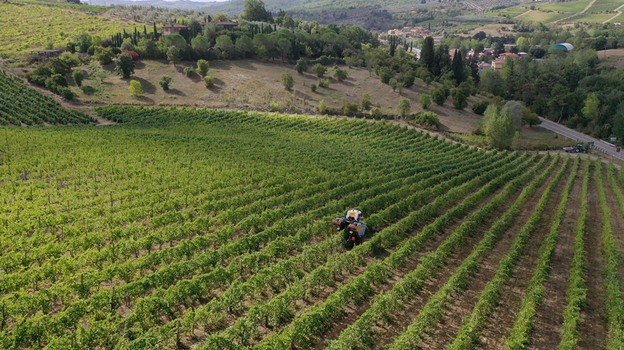 Aerial view of a grape harvester machine working in lush green vineyard rows surrounded by rolling hills and cypress trees in Greve in Chianti Tuscany Italy. Aerial view of a grape harvester machine working in lush green vineyard rows surrounded by rolling hills and cypress trees in Greve in Chianti Tuscany Italy.