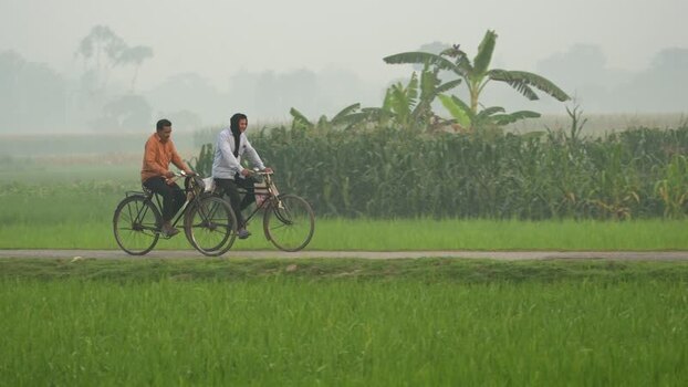 View of men riding bicycles through green paddy fields Bangladesh. View of men riding bicycles through green paddy fields Bangladesh.