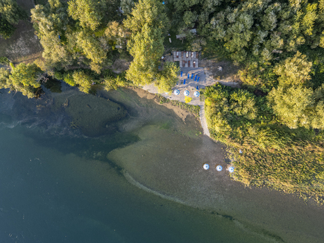 Aerial view of a serene lakeside beach with blue umbrellas sun loungers and lush green trees along the shoreline in Shkoder Shkoder County Albania.