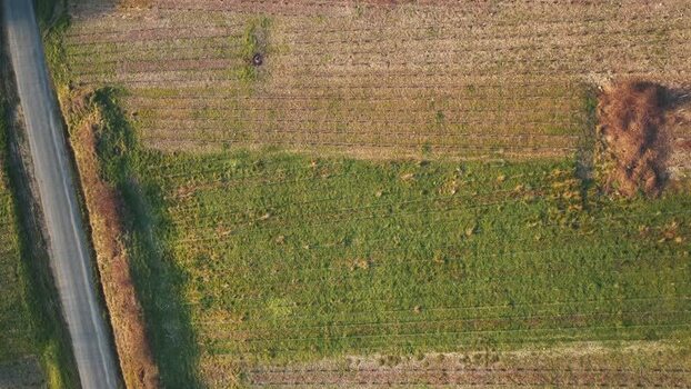 Aerial view of field with rows France.