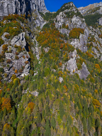 Aerial view of the Val di Mello granite cliffs and dense forest with vibrant autumn foliage under a clear blue sky in Val Masino Lombardia Italy. Aerial view of the Val di Mello granite cliffs and dense forest with vibrant autumn foliage under a clear blue sky in Val Masino Lombardia Italy.