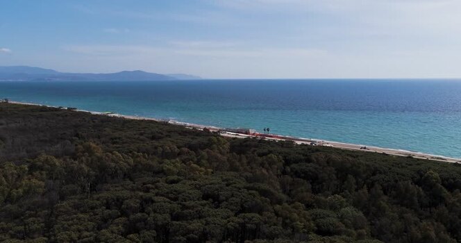 Aerial view of the coastline with pine forest and beach Italy.