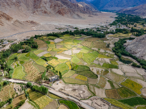 Aerial view of agricultural fields in the valley surrounded by mountains and trees in Ladakh Division Ladakh India. Aerial view of agricultural fields in the valley surrounded by mountains and trees in Ladakh Division Ladakh India.