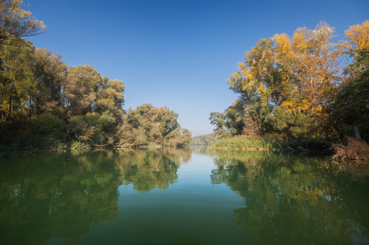 View of the Danube s oxbow lake reflects the autumn trees under a tranquil blue sky creating a serene landscape Bodiky Trnava Region Slovakia. View of the Danube s oxbow lake reflects the autumn trees under a tranquil blue sky creating a serene landscape Bodiky Trnava Region Slovakia.