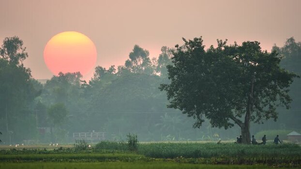 View of a large setting sun over rural fields in Bangladesh.