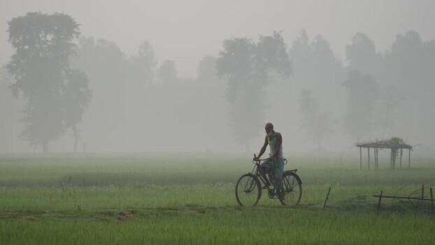 View of a man riding a bicycle through foggy fields Bangladesh.