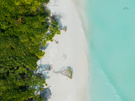 Aerial view of a vibrant green tropical canopy meeting pristine white sands and shimmering turquoise waters Thuraakunu Thiladhunmathee Uthuruburi Maldives. Aerial view of a vibrant green tropical canopy meeting pristine white sands and shimmering turquoise waters Thuraakunu Thiladhunmathee Uthuruburi Maldives.