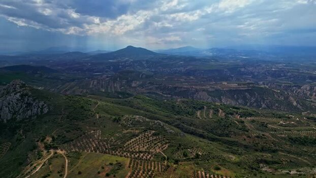 Aerial view of rolling hills and olive groves in Greece.