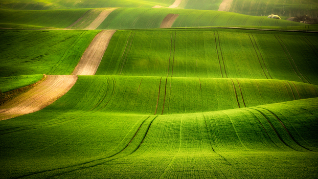 View of rolling green hills and agricultural fields in the Moravia region Brno City District South Moravian Region Czechia.