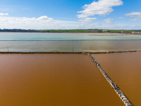 Aerial view of the colorful salt pans of Lake Atanasovsko with pink and turquoise water basins separated by wooden barriers under a blue sky in Burgas Burgas Bulgaria. Aerial view of the colorful salt pans of Lake Atanasovsko with pink and turquoise water basins separated by wooden barriers under a blue sky in Burgas Burgas Bulgaria.