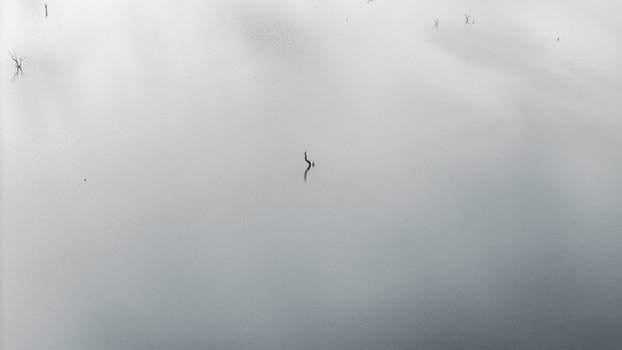Aerial view of Lake Jindabyne with sparse dead tree branches emerging from the misty water surface under a foggy sky in Snowy Monaro Regional Council New South Wales Australia.