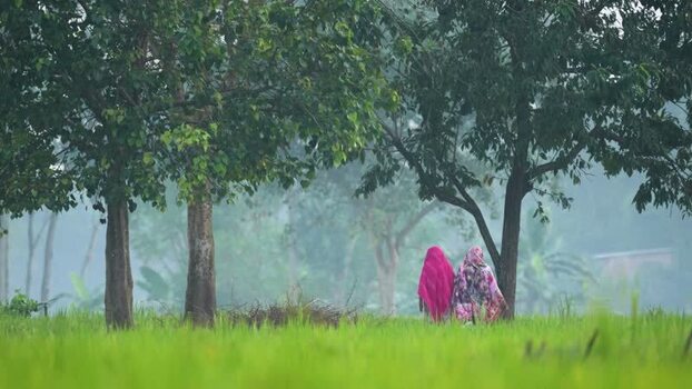 View of women walking through a green field in Bogura Bangladesh.