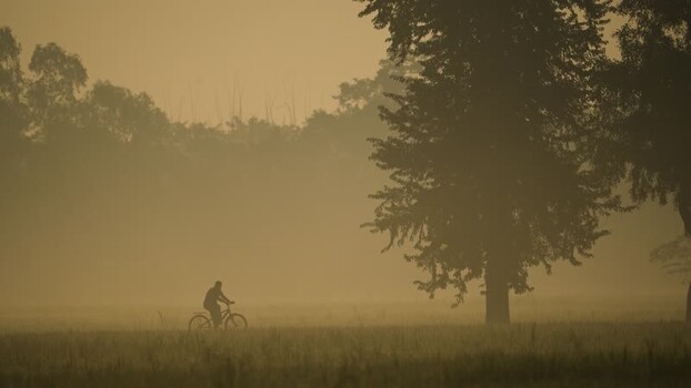 View of a cyclist riding through a foggy field at dawn Bangladesh.