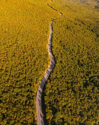 Aerial view of a winding asphalt road snaking through a dense lush forest during golden hour Rijeka Primorje Gorski Kotar Croatia. Aerial view of a winding asphalt road snaking through a dense lush forest during golden hour Rijeka Primorje Gorski Kotar Croatia.