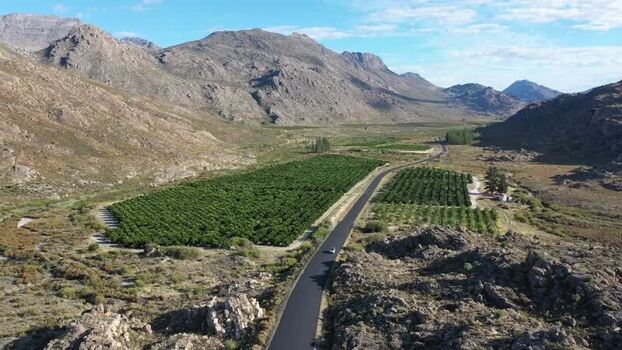 Aerial view of vineyard and mountains in Cederberg South Africa.