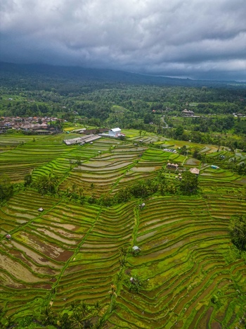 Aerial view of Tegallalang Rice Terrace featuring lush green terraced rice paddies small huts and a distant village under a cloudy sky in Kecamatan Tegallalang Bali Indonesia.