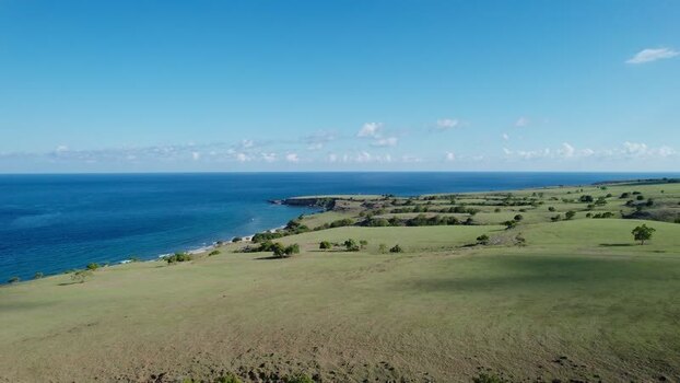 Aerial view of Mausui Savanna and the coastline Indonesia.