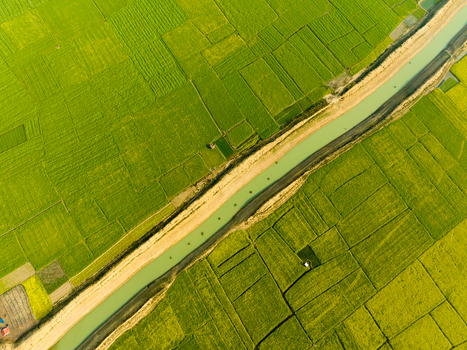 Aerial view of lush green and golden fields intersected by a tranquil river creating a patchwork of vibrant colors and textures Sirajganj Bangladesh. Aerial view of lush green and golden fields intersected by a tranquil river creating a patchwork of vibrant colors and textures Sirajganj Bangladesh.