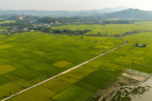 Aerial view of Lak Lake surrounded by vibrant green rice paddies and distant mountains with a rural road cutting through the landscape in Lien Son Lak Dak Lak Vietnam. Aerial view of Lak Lake surrounded by vibrant green rice paddies and distant mountains with a rural road cutting through the landscape in Lien Son Lak Dak Lak Vietnam.