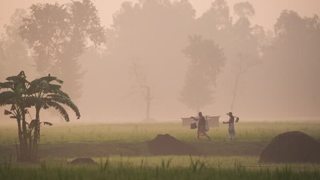 View of farmers walking through misty fields in Bangladesh.