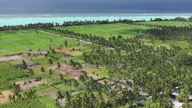 Aerial view of agricultural fields and palm trees Maldives. Aerial view of agricultural fields and palm trees Maldives.