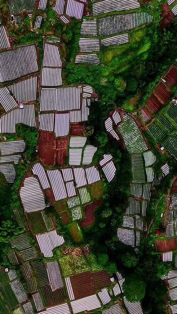 Aerial view of agricultural greenhouses in Bali Indonesia.