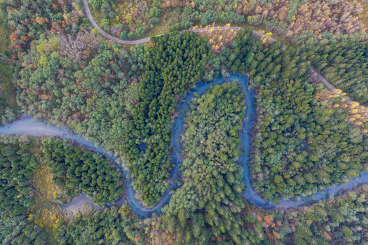 Aerial view of a winding river flowing through a dense forest with autumn foliage and a road visible in the background in Andalsnes More og Romsdal Norway.