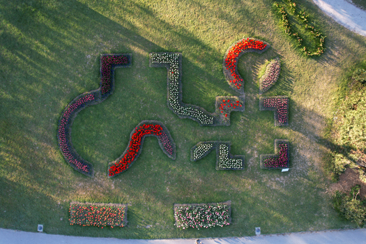 Aerial view of colorful tulip flower beds arranged in artistic patterns on a green lawn in the park of Morges Vaud Switzerland. Aerial view of colorful tulip flower beds arranged in artistic patterns on a green lawn in the park of Morges Vaud Switzerland.