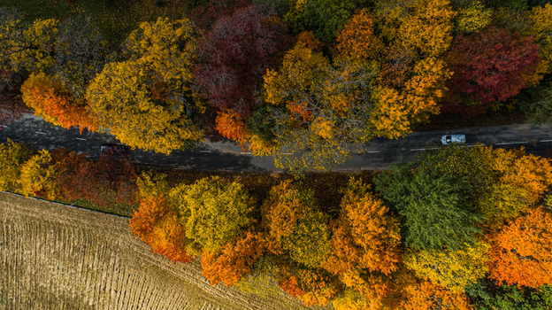 Aerial view of a road winding through a dense forest with vibrant autumn foliage and a nearby field in Sigulda Sigulda Municipality Latvia. Aerial view of a road winding through a dense forest with vibrant autumn foliage and a nearby field in Sigulda Sigulda Municipality Latvia.