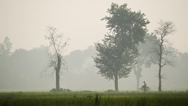 View of a cyclist riding through a foggy rural landscape Bangladesh.