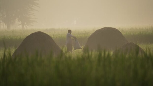 View of a farmer working near haystacks in a misty field Bangladesh.