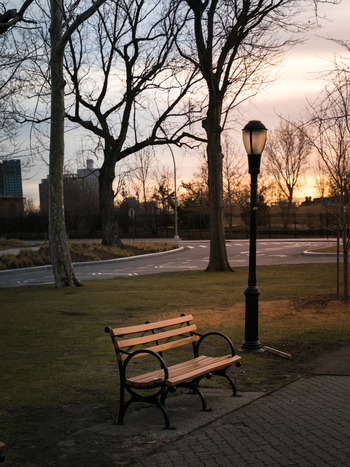 View of a wooden park bench situated on a grassy lawn next to a tall lamp post with bare trees and a sunset sky in the background United States of America. View of a wooden park bench situated on a grassy lawn next to a tall lamp post with bare trees and a sunset sky in the background United States of America.