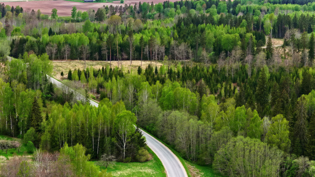 Aerial view of a winding asphalt road cutting through a lush green forest with a mix of deciduous and coniferous trees in the countryside of Latvija. Aerial view of a winding asphalt road cutting through a lush green forest with a mix of deciduous and coniferous trees in the countryside of Latvija.