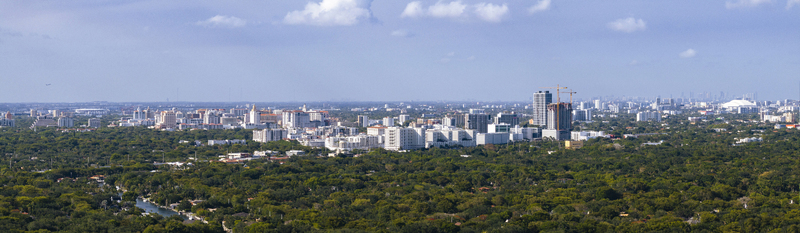 Aerial view of the city skyline rising above a dense green tree canopy under a blue sky with light clouds in Coral Gables Florida United States.