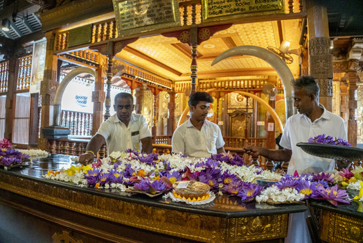 Kandy Sri Lanka 27 April 2026 View of Sri Dalada Maligawa with devotees offering lotus flowers at the altar inside the temple. Kandy Sri Lanka 27 April 2026 View of Sri Dalada Maligawa with devotees offering lotus flowers at the altar inside the temple.