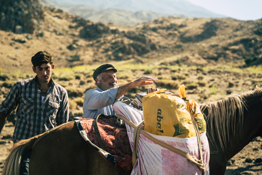 Turkey 14 August 2023 View of an older man and a younger man with a horse carrying heavy bags in the rugged landscape near Mount Ararat in Turkey. Turkey 14 August 2023 View of an older man and a younger man with a horse carrying heavy bags in the rugged landscape near Mount Ararat in Turkey.