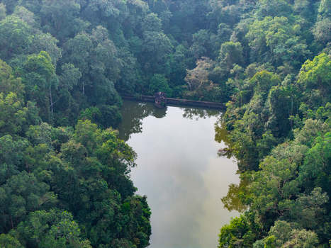 Aerial view of the dam in the forest surrounded by dense tropical trees and lush greenery in Bukit Mertajam Penang Malaysia. Aerial view of the dam in the forest surrounded by dense tropical trees and lush greenery in Bukit Mertajam Penang Malaysia.