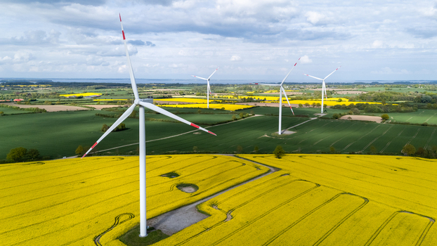 Aerial view of wind turbines standing in vibrant yellow rapeseed fields and green meadows under a cloudy sky in Dollerup Schleswig Holstein Germany.