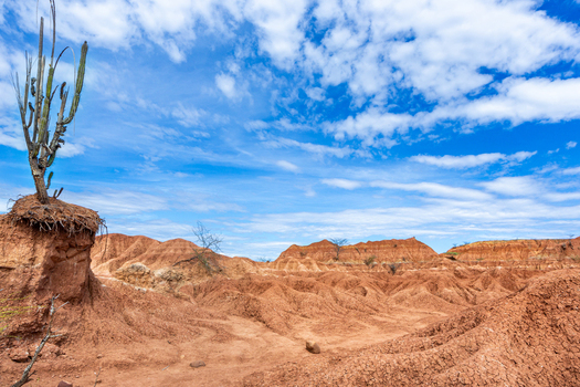 View of the arid landscape of the Tatacoa Desert with a tall cactus in the foreground under a bright blue sky with scattered clouds in Villavieja Huila Colombia.