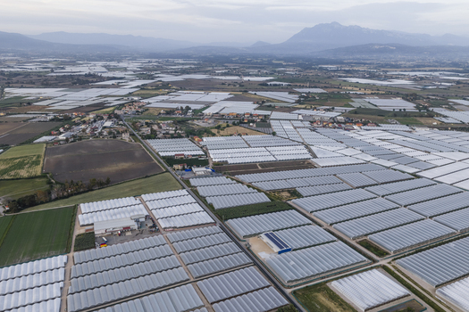 Aerial view of vast agricultural fields covered with white greenhouses and rural houses under a cloudy sky near the mountains in Paestum Campania Italy.